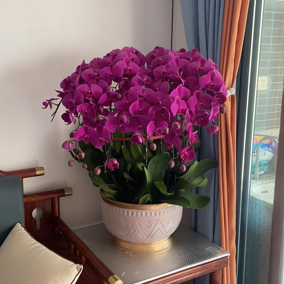 江门市新会区悦建装饰