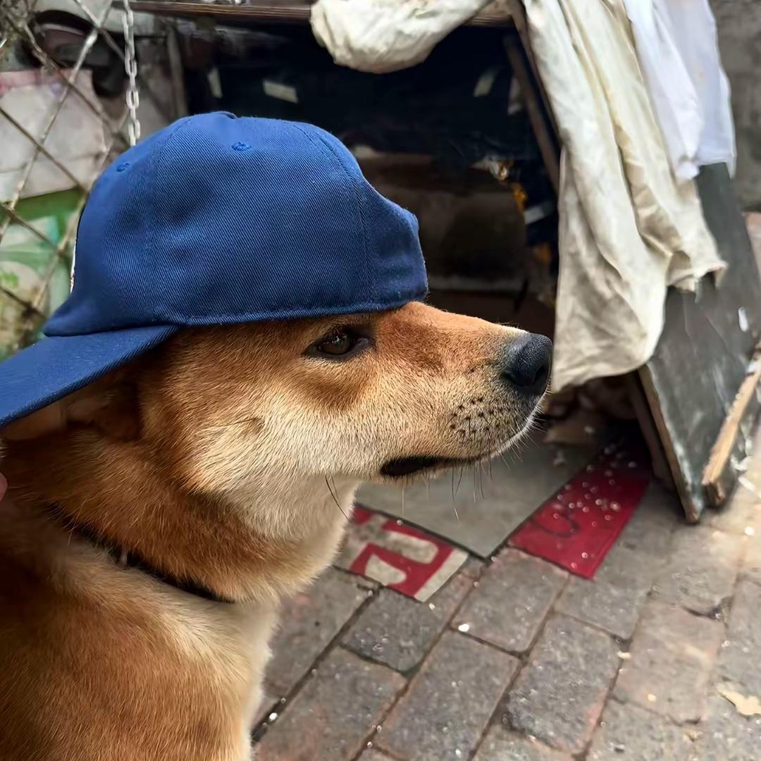 L🪬