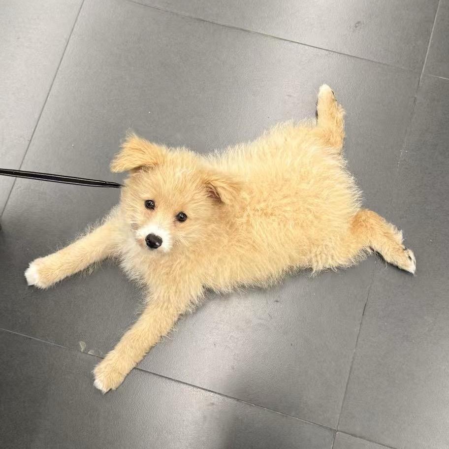 蜡笔小心👀