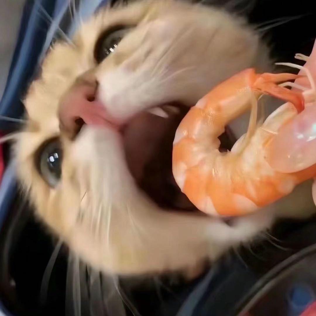 角色坤