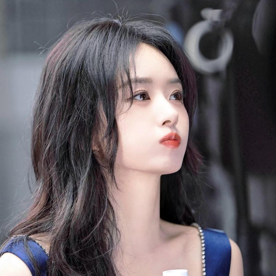 会发财的猫