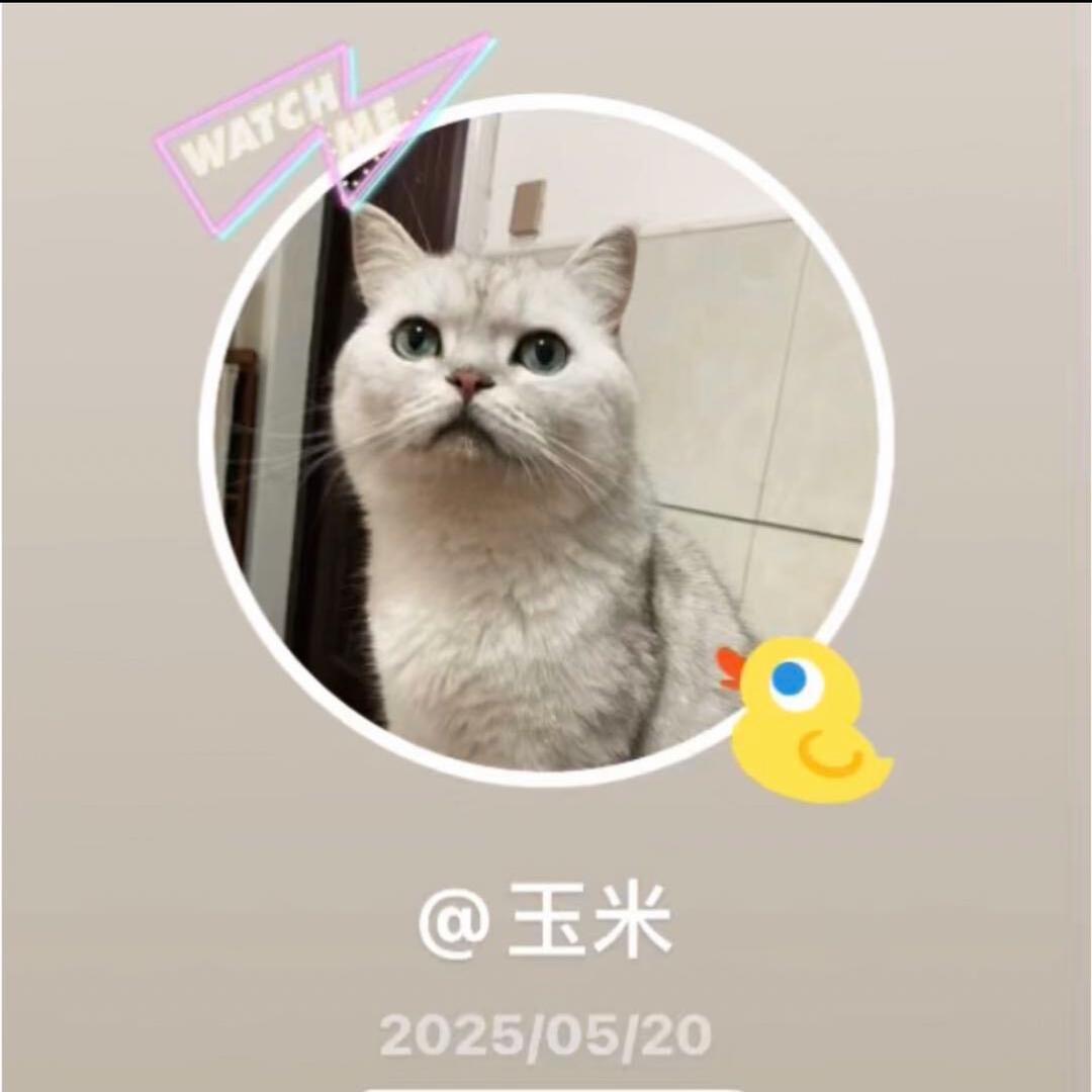 玉米