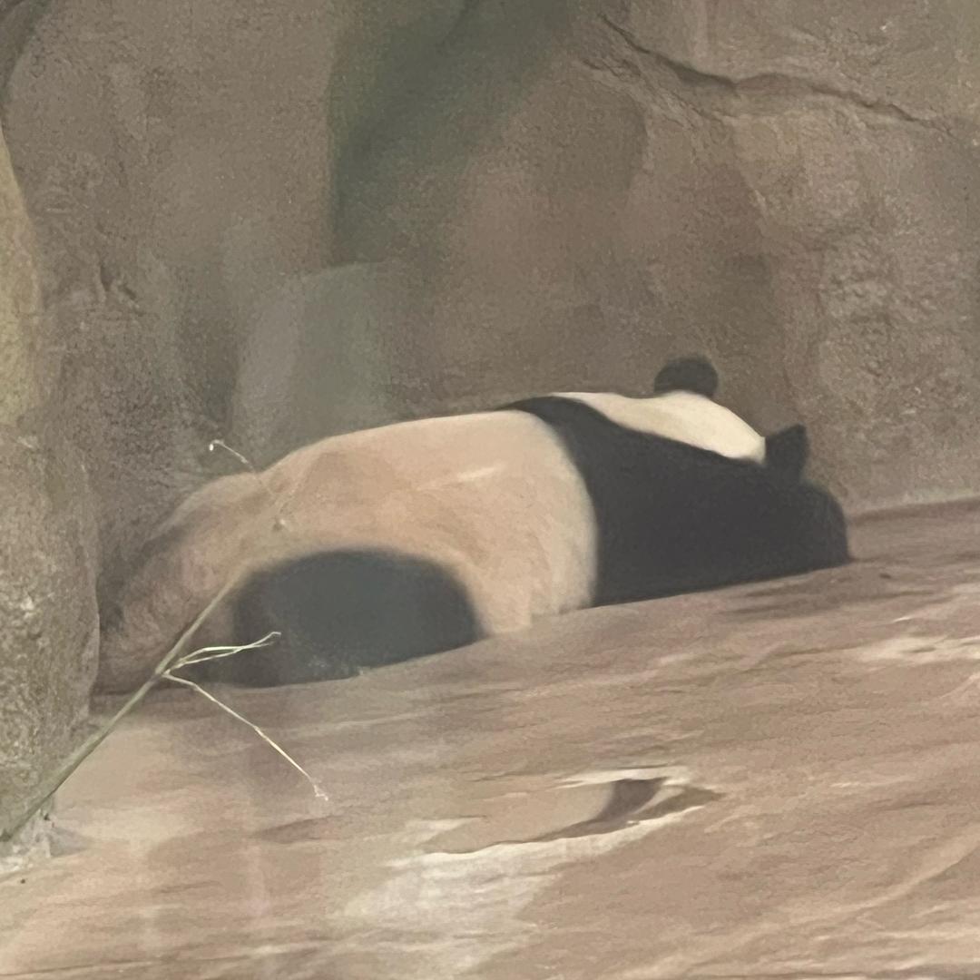 大罐旺仔