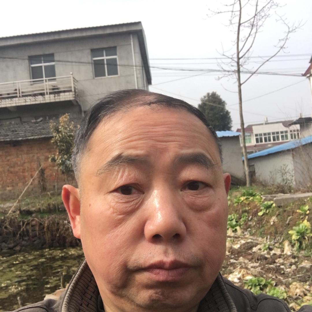 张成志
