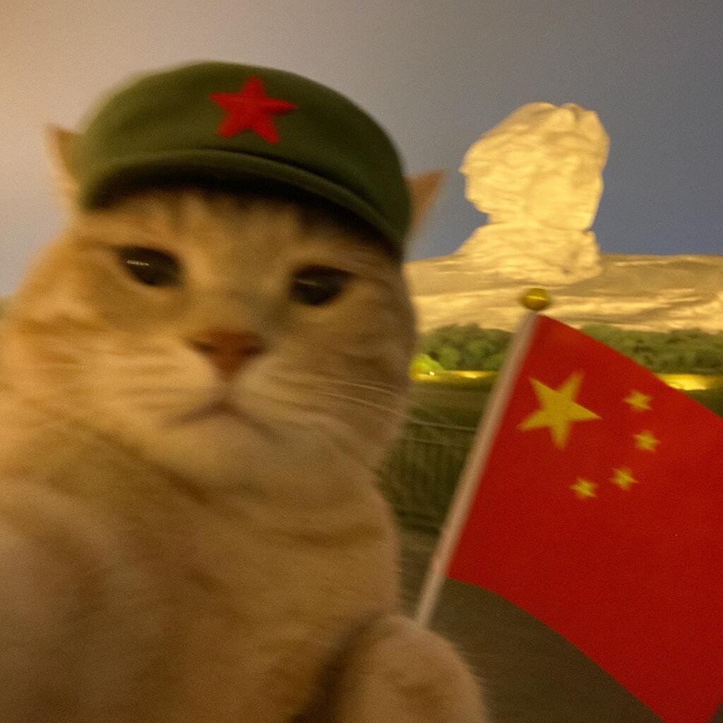 巨兔