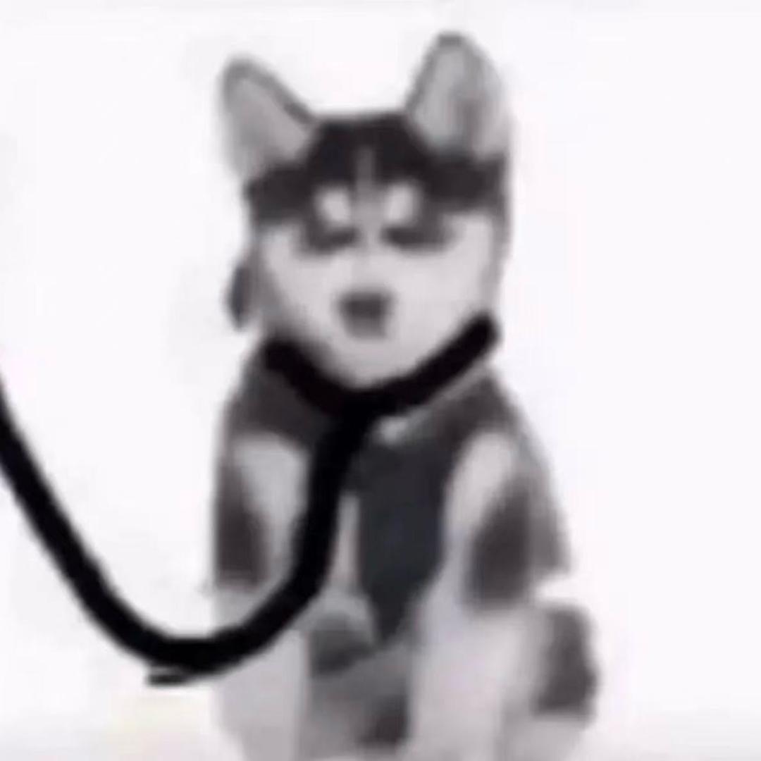 风吹袅袅手背后