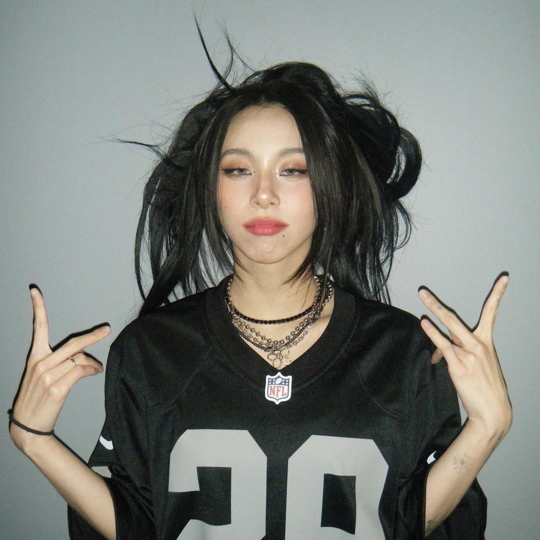 麦麦统治地球🌍