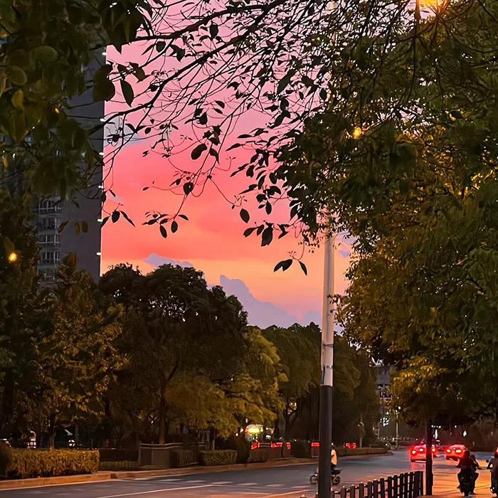 欲风南📸