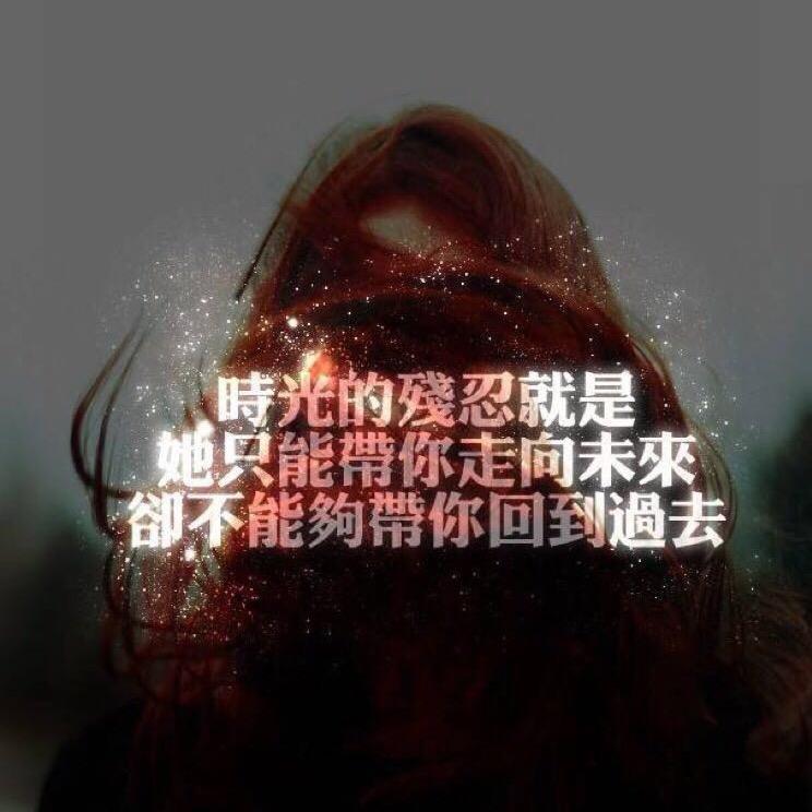 丰城宠物2