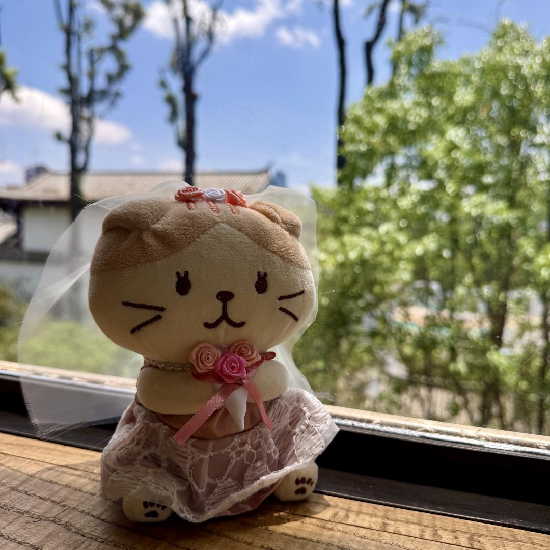 阿雅喵喵