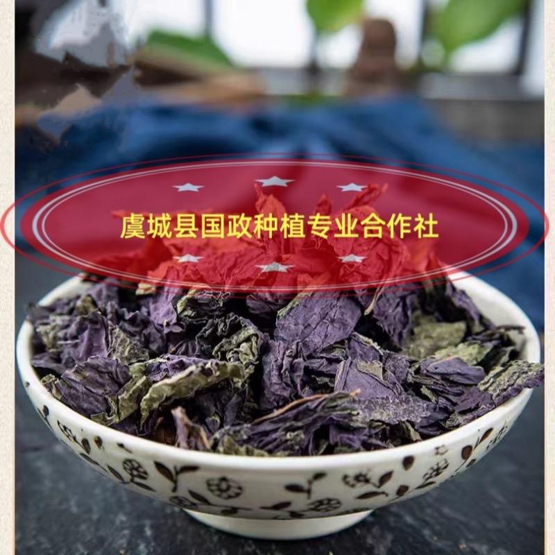 国政种植专业合作社