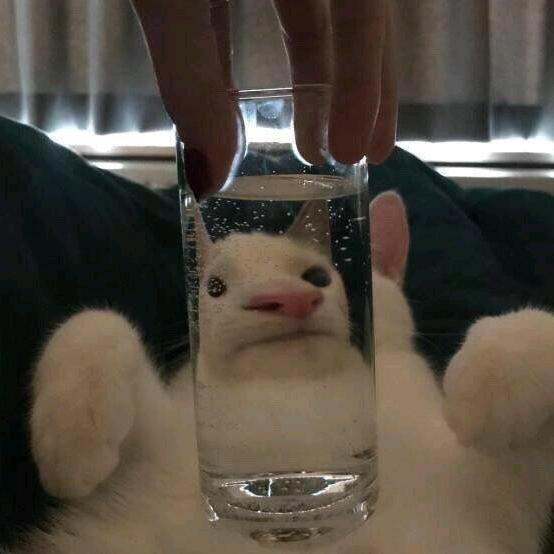 Vampire