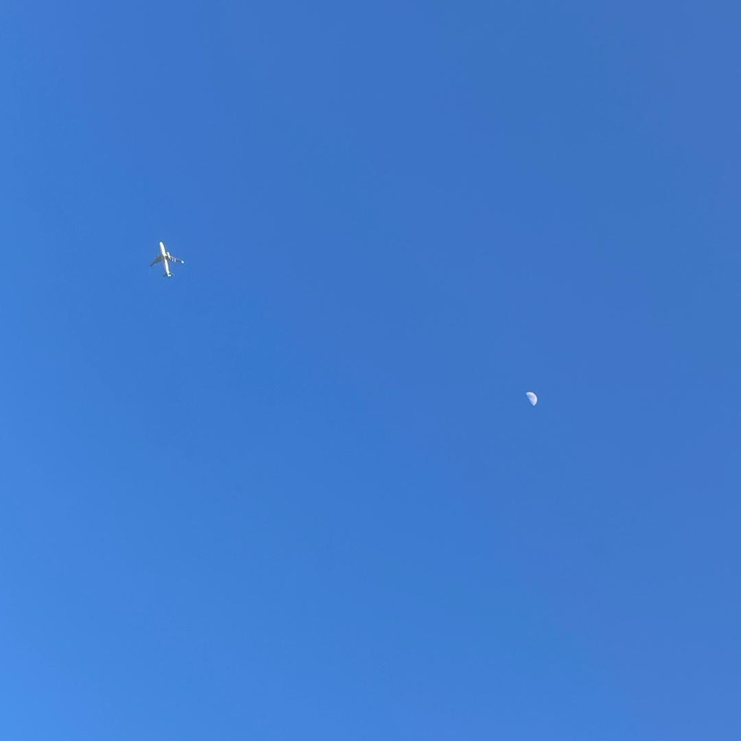 夏柏