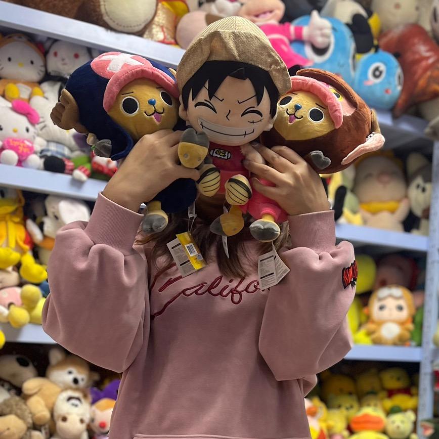 大冉中古毛绒玩具屋