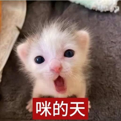 下着雨