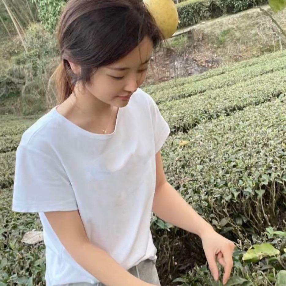 茶小杨