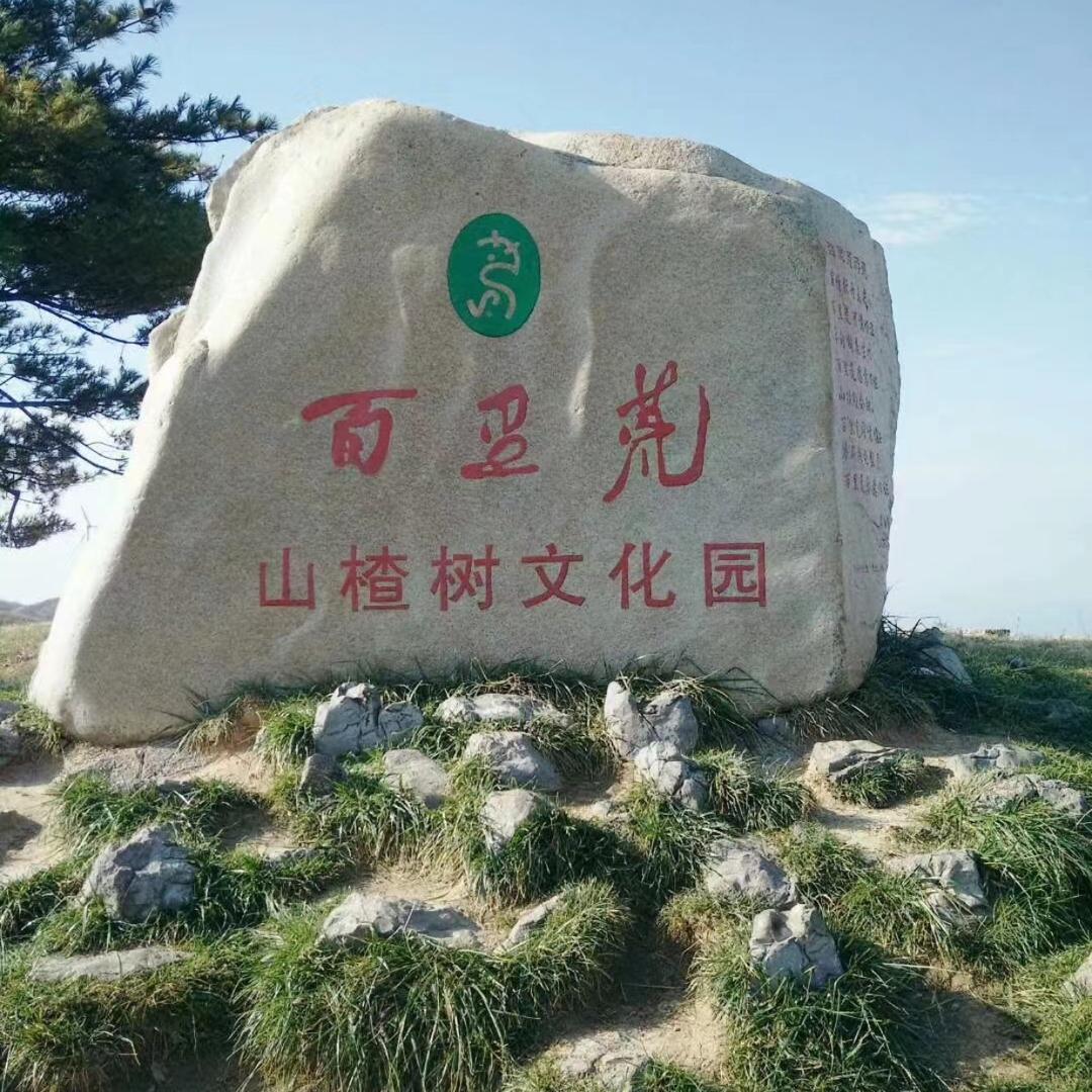 机车与男人