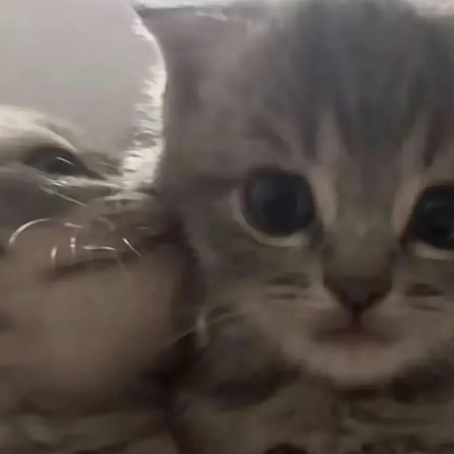 蛋液，再眯一会就睡觉