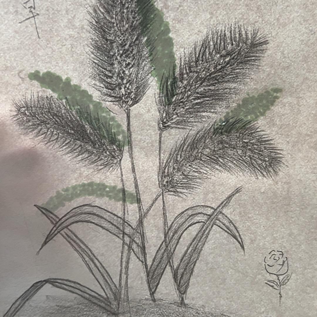 🌻涛冉宝贝❤️