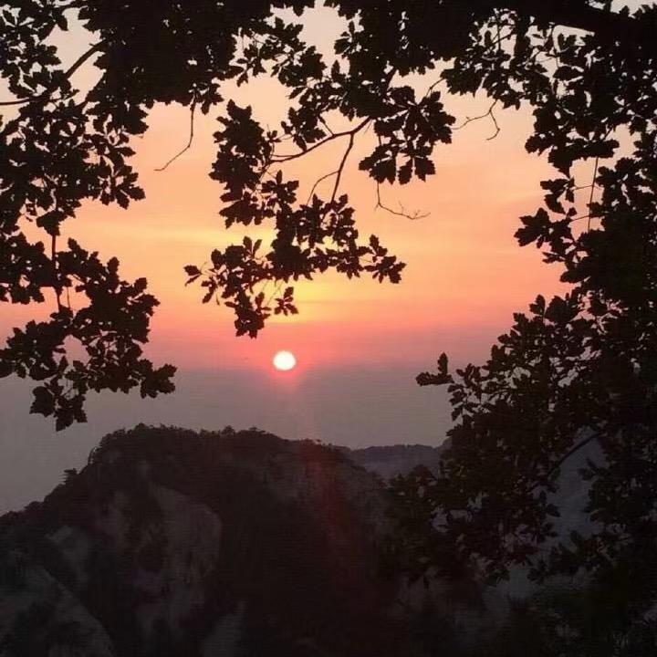 星星坠落
