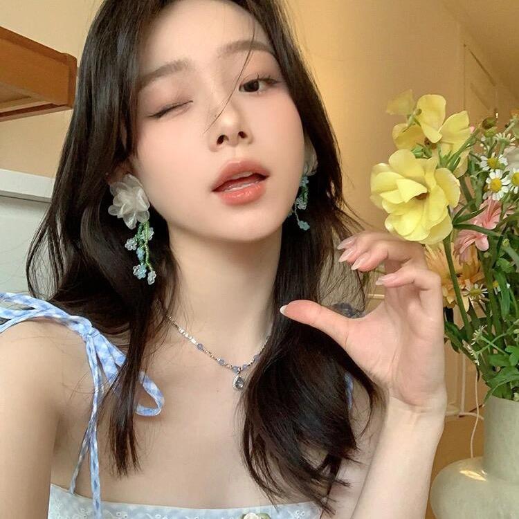 叮当猫🔔