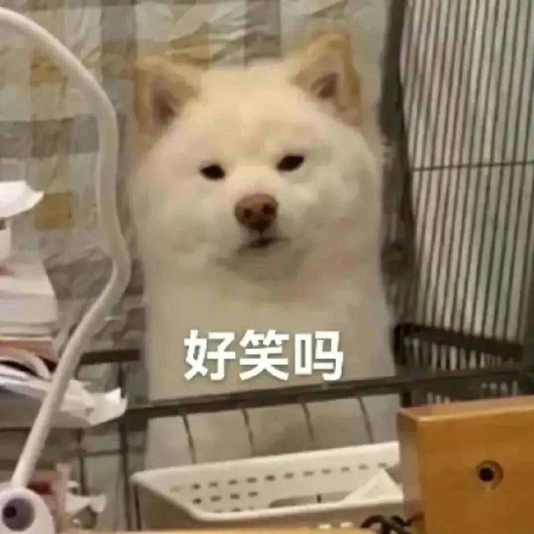 犯困嫌疑人