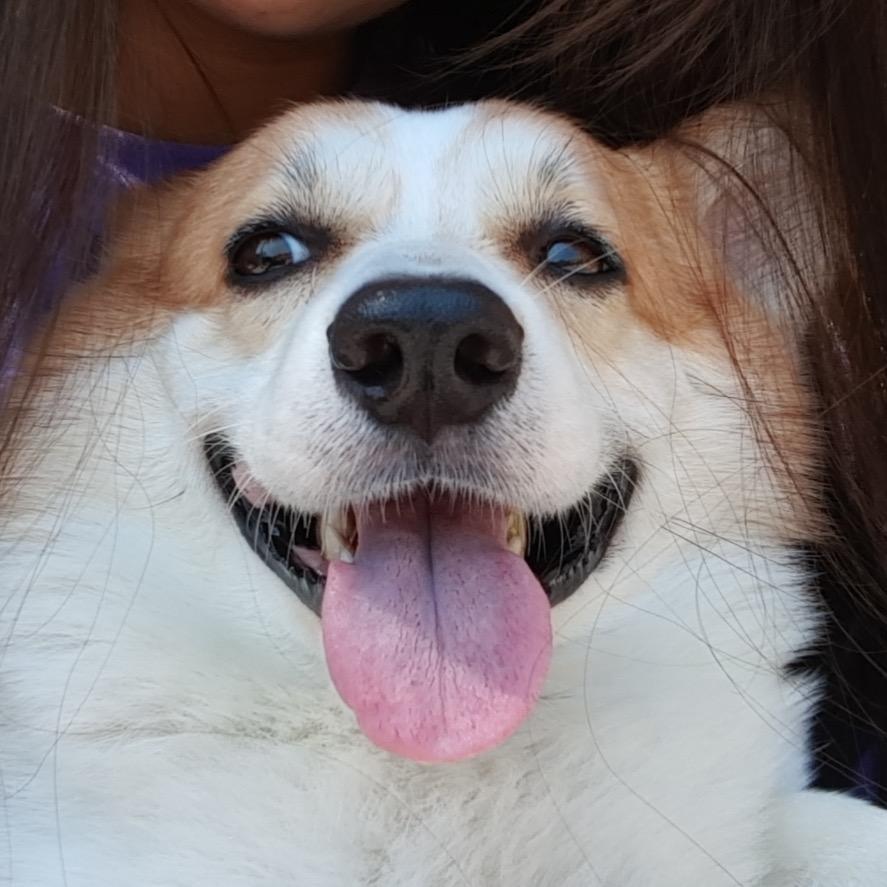 江सुन्दर