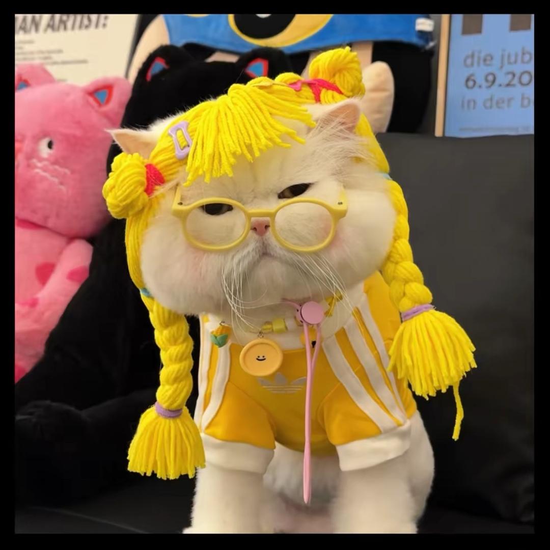 未来可期🌟