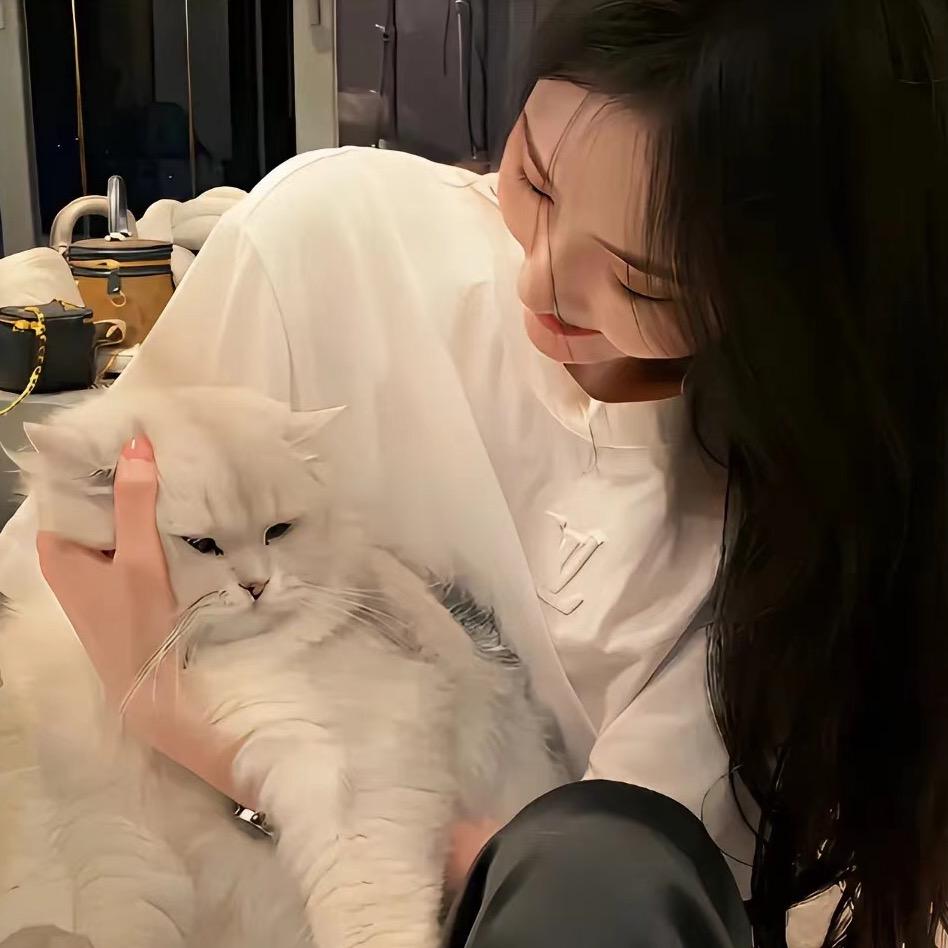 可爱小章鱼（可私信）