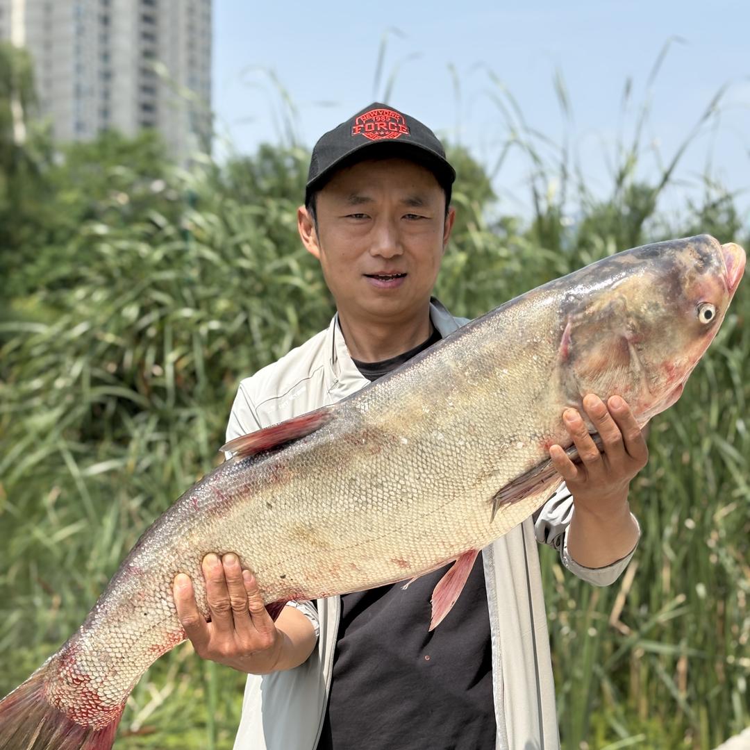 陈哥泡沫逗钓