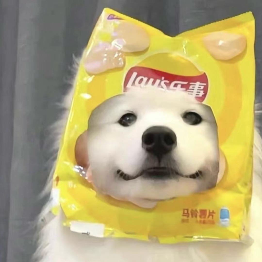 太晚tt