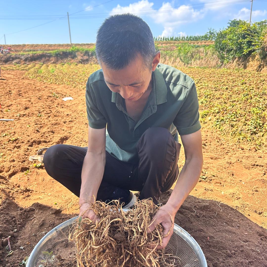 二哥（生活号）