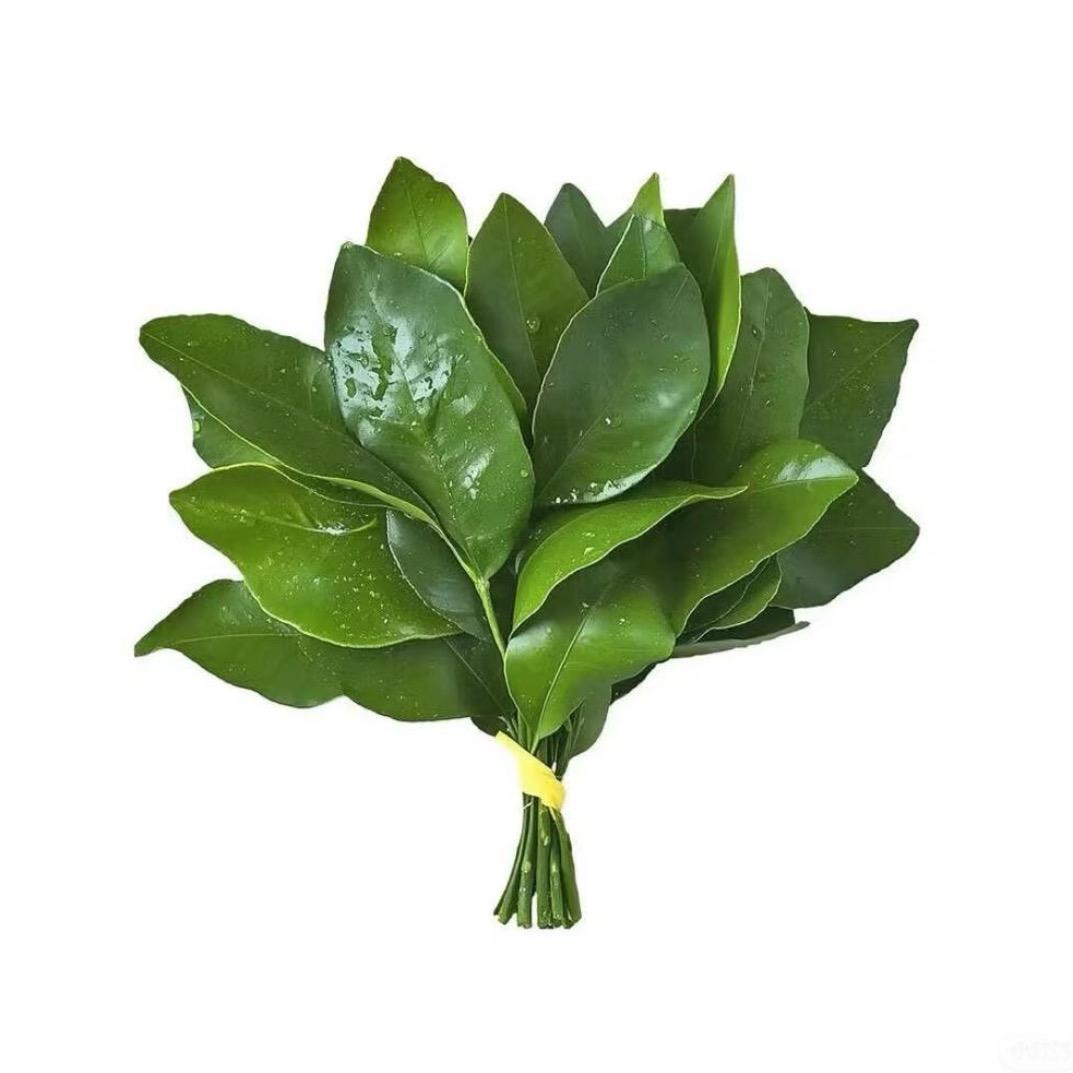 早起炸毛୭