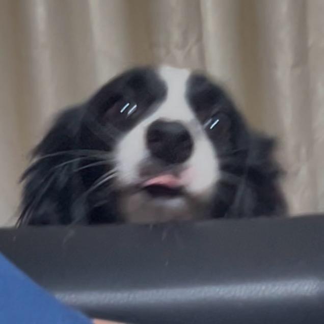 草莓洗了吗
