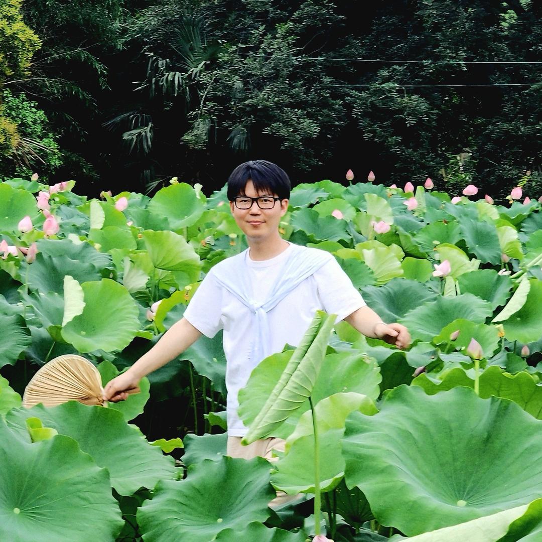 木林森的家