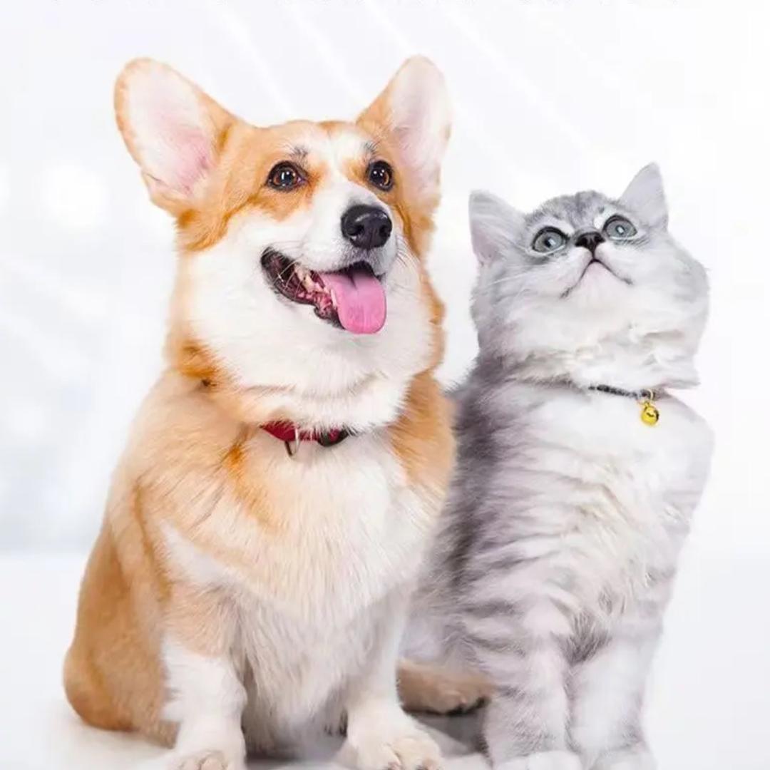 寻宠樂康 （猫狗健康）