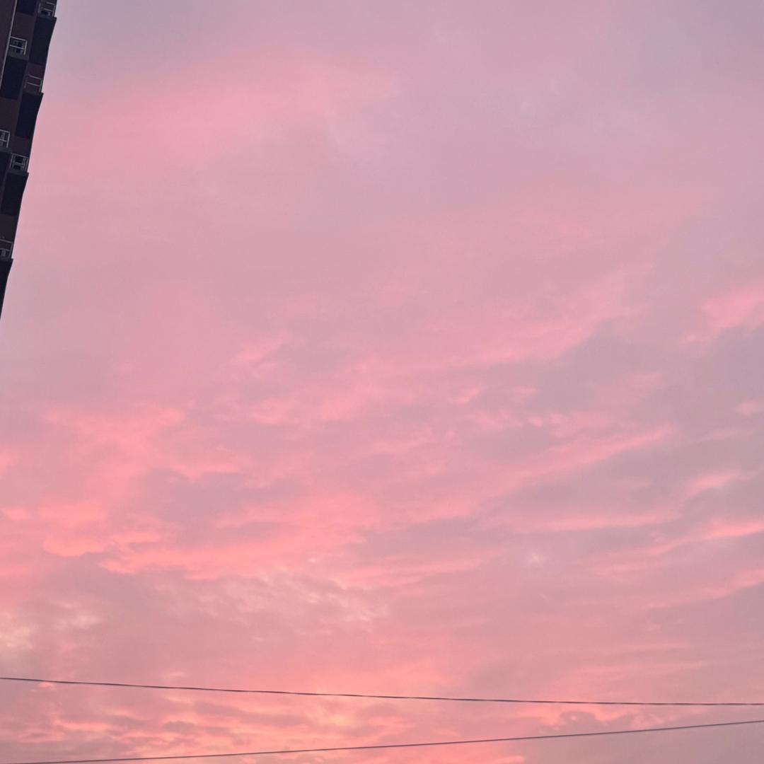 好运莲莲。