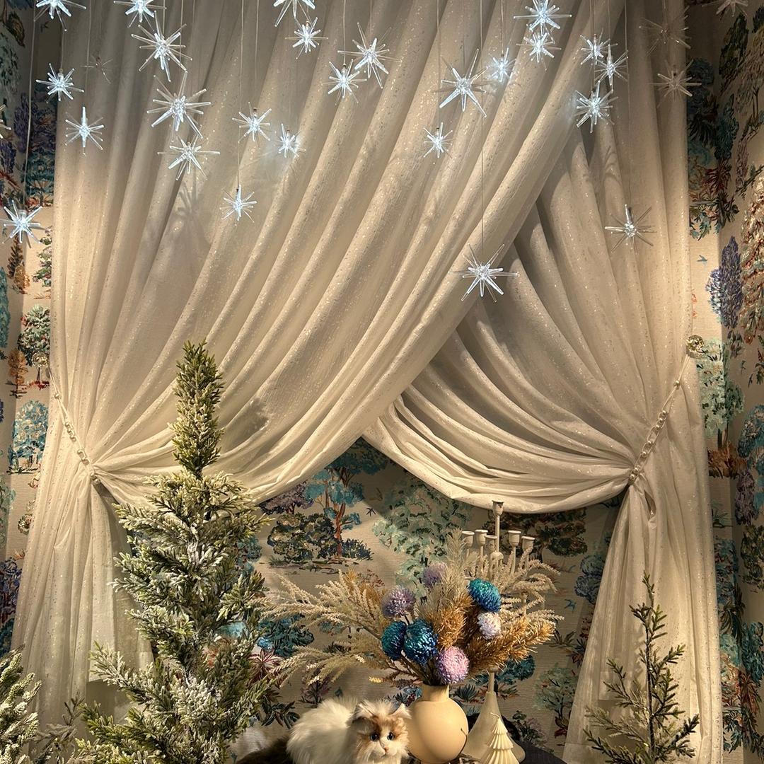 经典玲姐💫