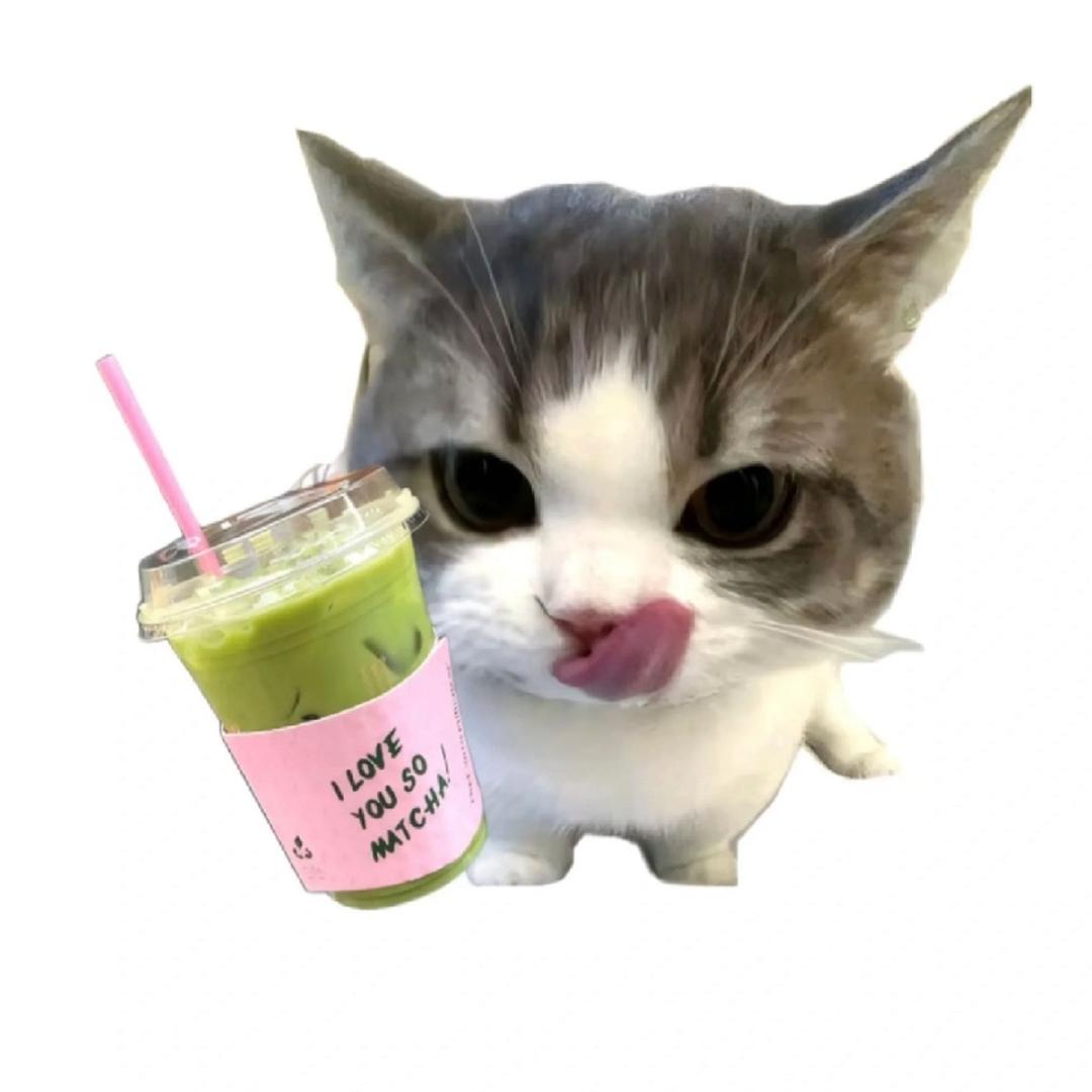 小心黑大帅