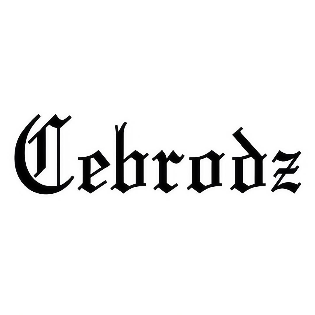 Cebrodz业学男装专卖店