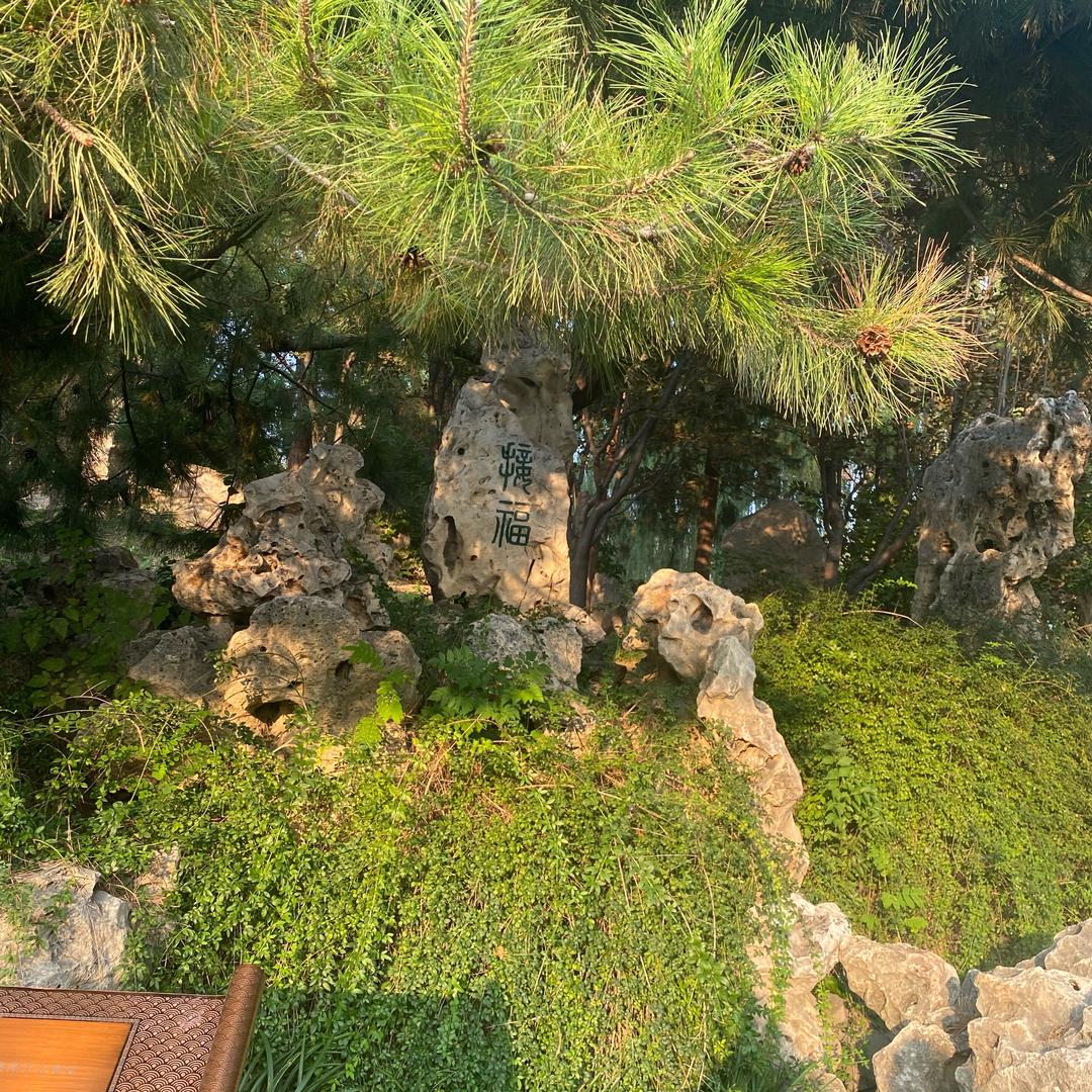 爱厨子的旅游