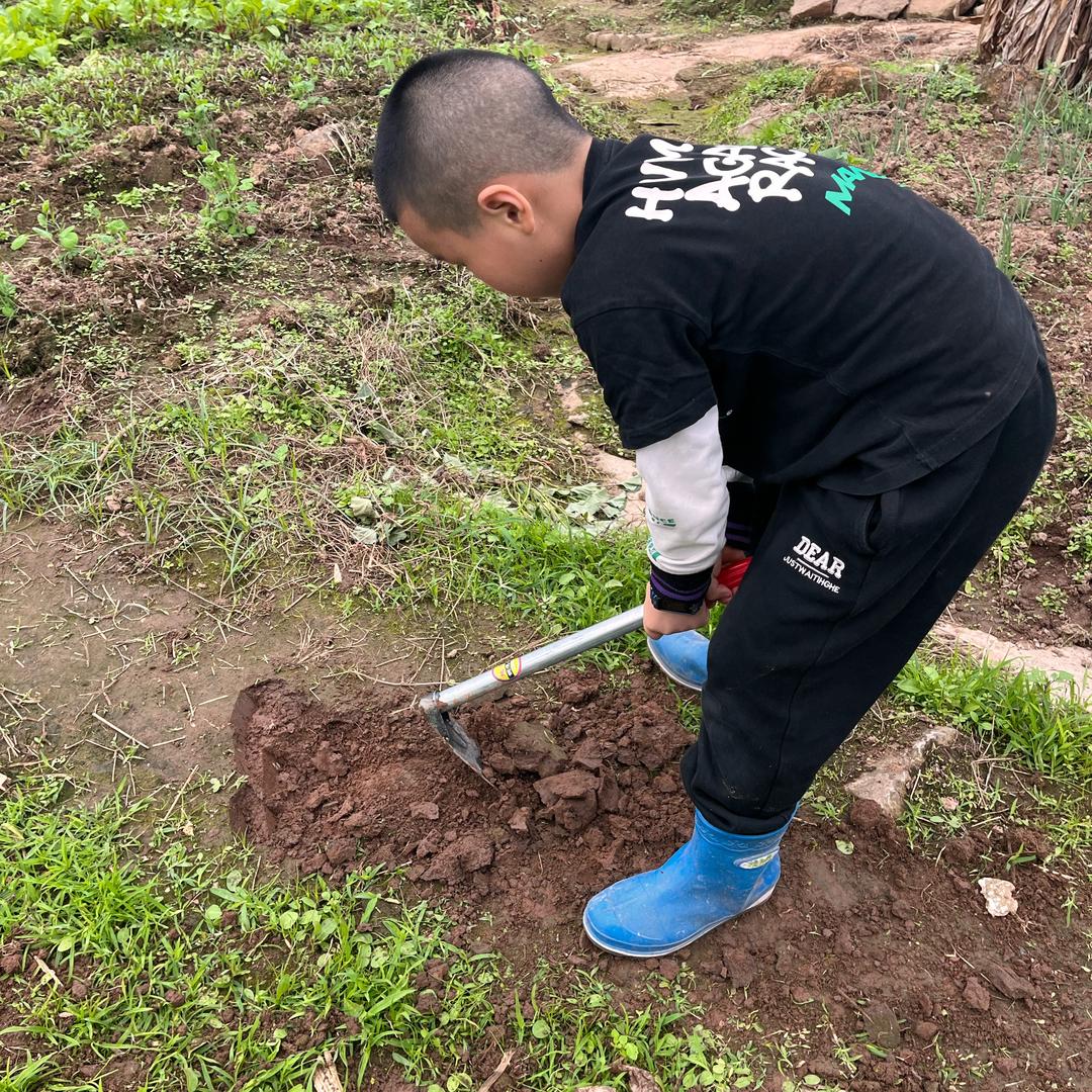 沈柯柯的耗儿鱼