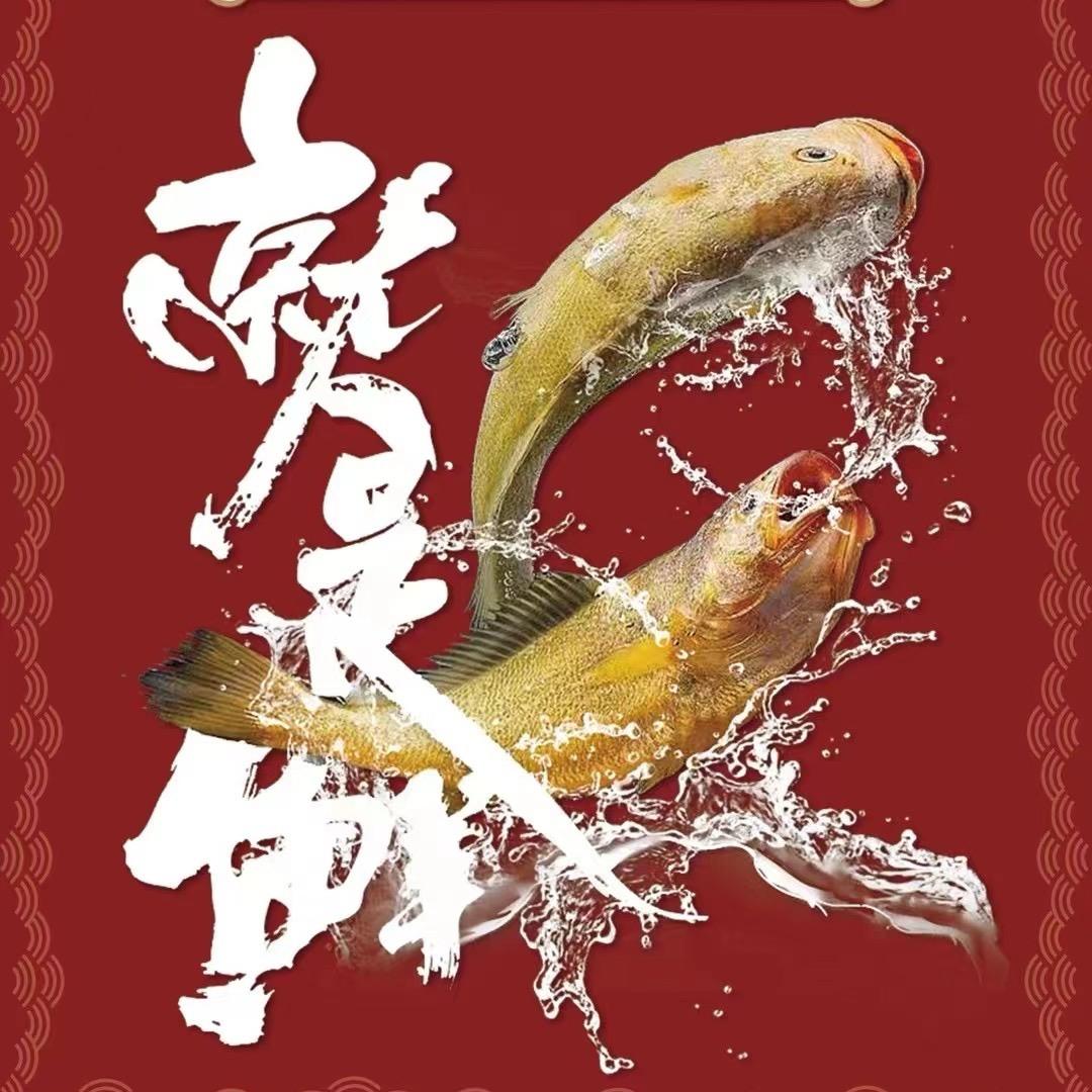 鱼哥
