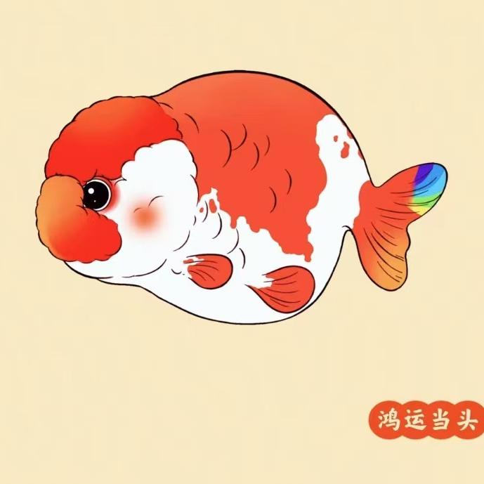 肆喜金鱼