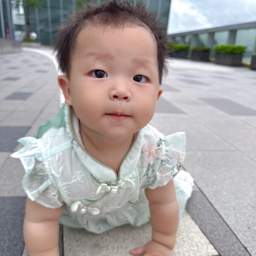 喜欢雨的叶子