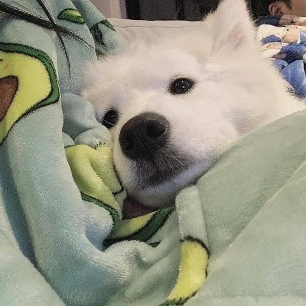 明理