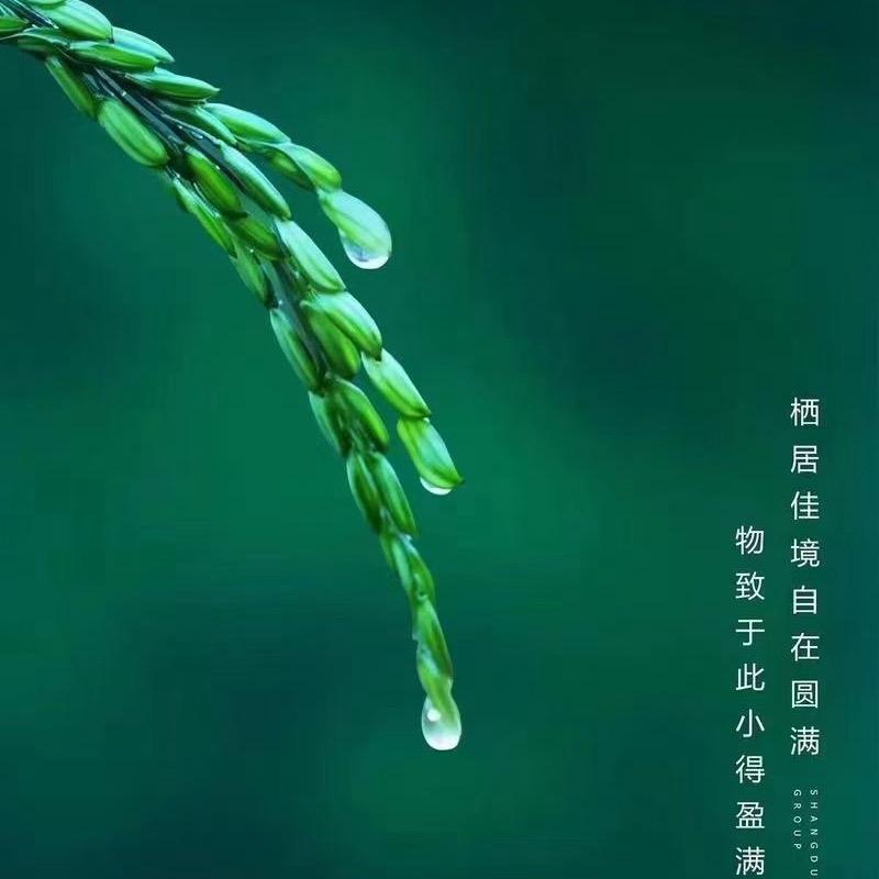 德融新材料