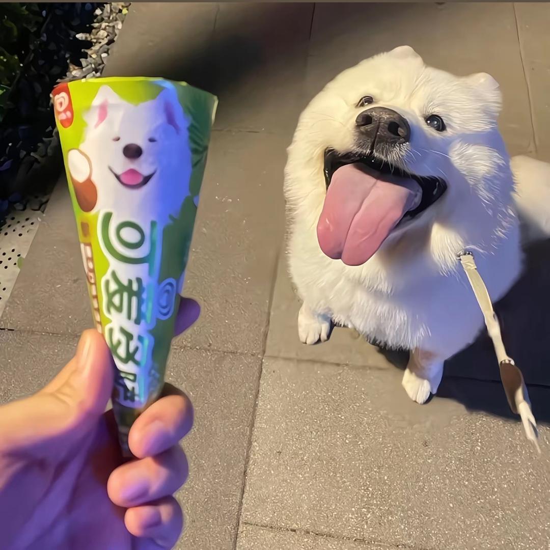 推不起100kg的小杨