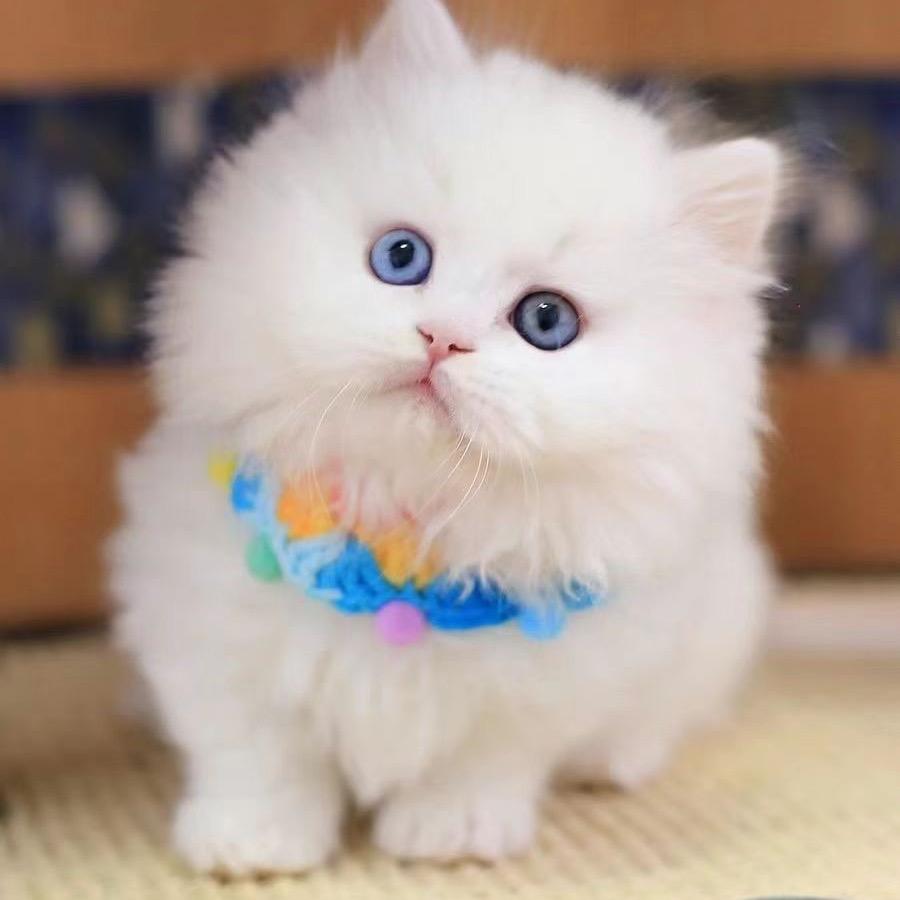 🌧️倚窗听雨落 ⁸¹⁹