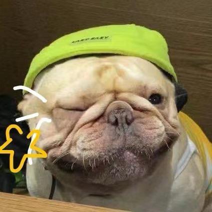 无敌小憨八龟